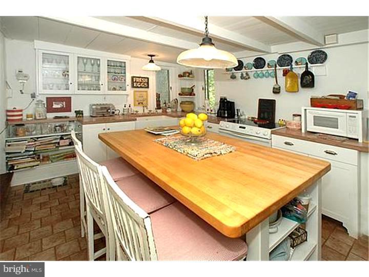 7221 Swagger Road New Hope, PA 18938 - Photo 6 of 13 Kitchen