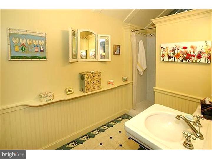 7221 Swagger Road New Hope, PA 18938 - Photo 8 of 13 Bathroom