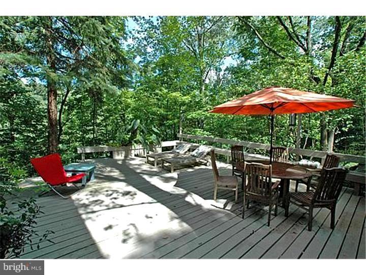7221 Swagger Road New Hope, PA 18938 - Photo 10 of 13 Deck