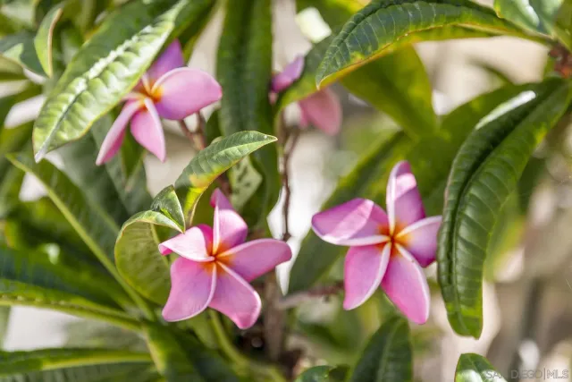 a view of small pool