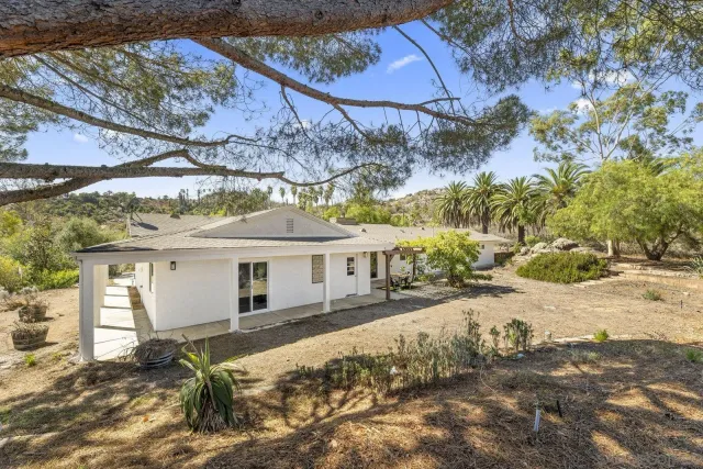 a view of a yard with plants and trees