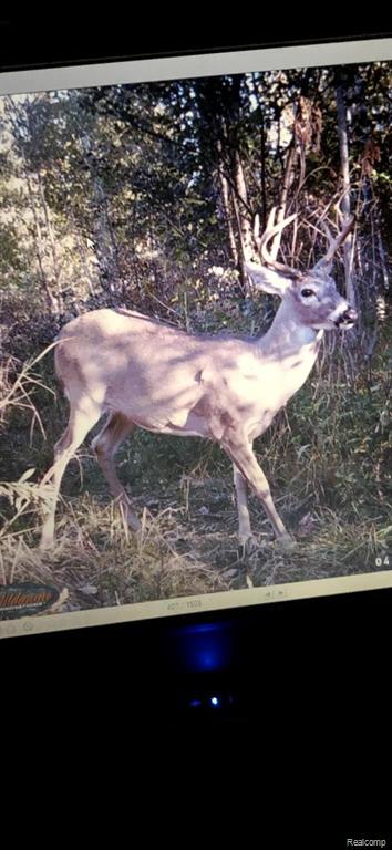 0 North 11 Mile Rd Mount Pinconning, MI 48650 - Photo 7 of 13
