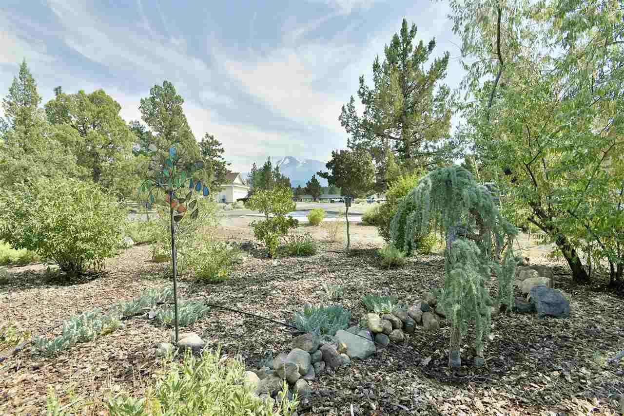 15834 Archer Road Weed, CA 96094 - Photo 23 of 27 Gallery Image 23