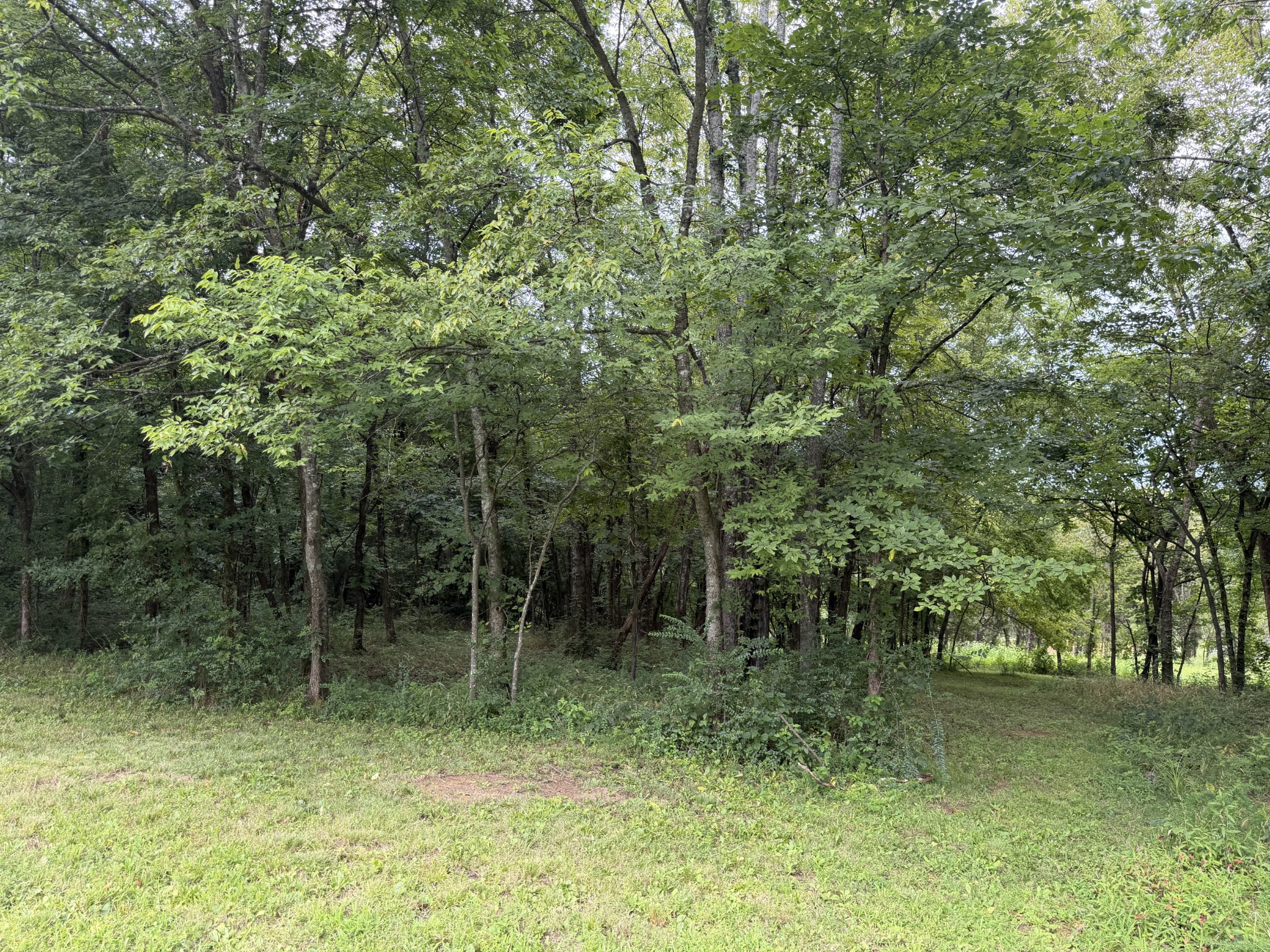 1755 Chicken Road Lebanon, TN 37090 - Photo 67 of 87 Gallery Image 67