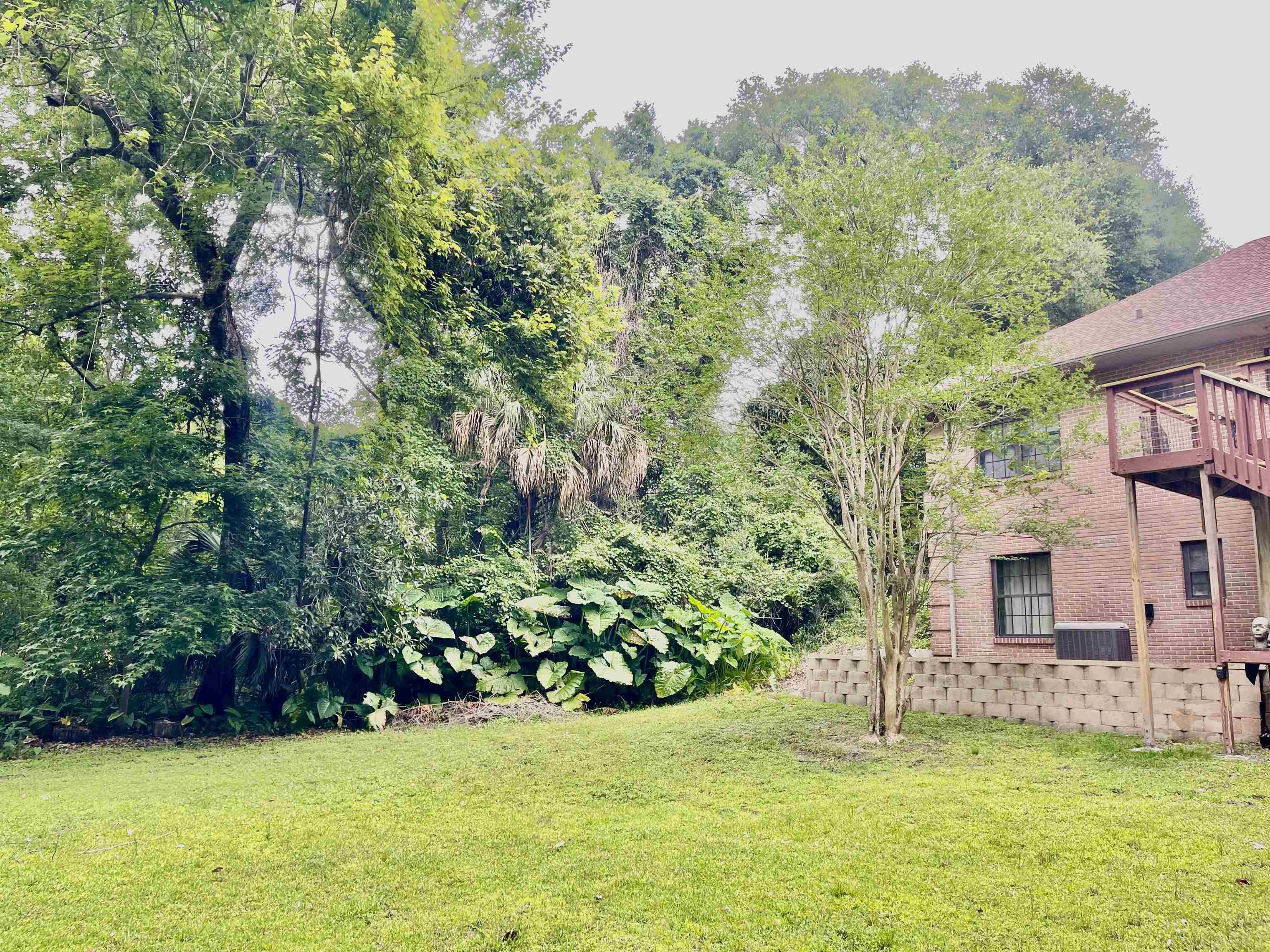 216 Raintree Trail St. Augustine, FL 32086 - Photo 12 of 53 Gallery Image 12