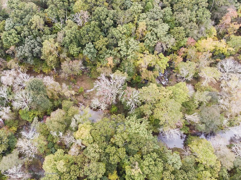 100 Manaqua Road Freehold, NJ 07728 - Photo 51 of 52 051_Creek