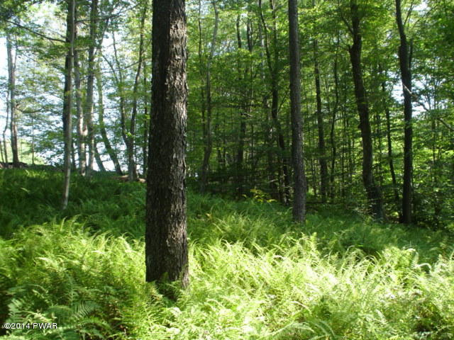 Moody Rd Lake Pleasant Mount, PA 18453 - Photo 6 of 12 Gallery Image 6