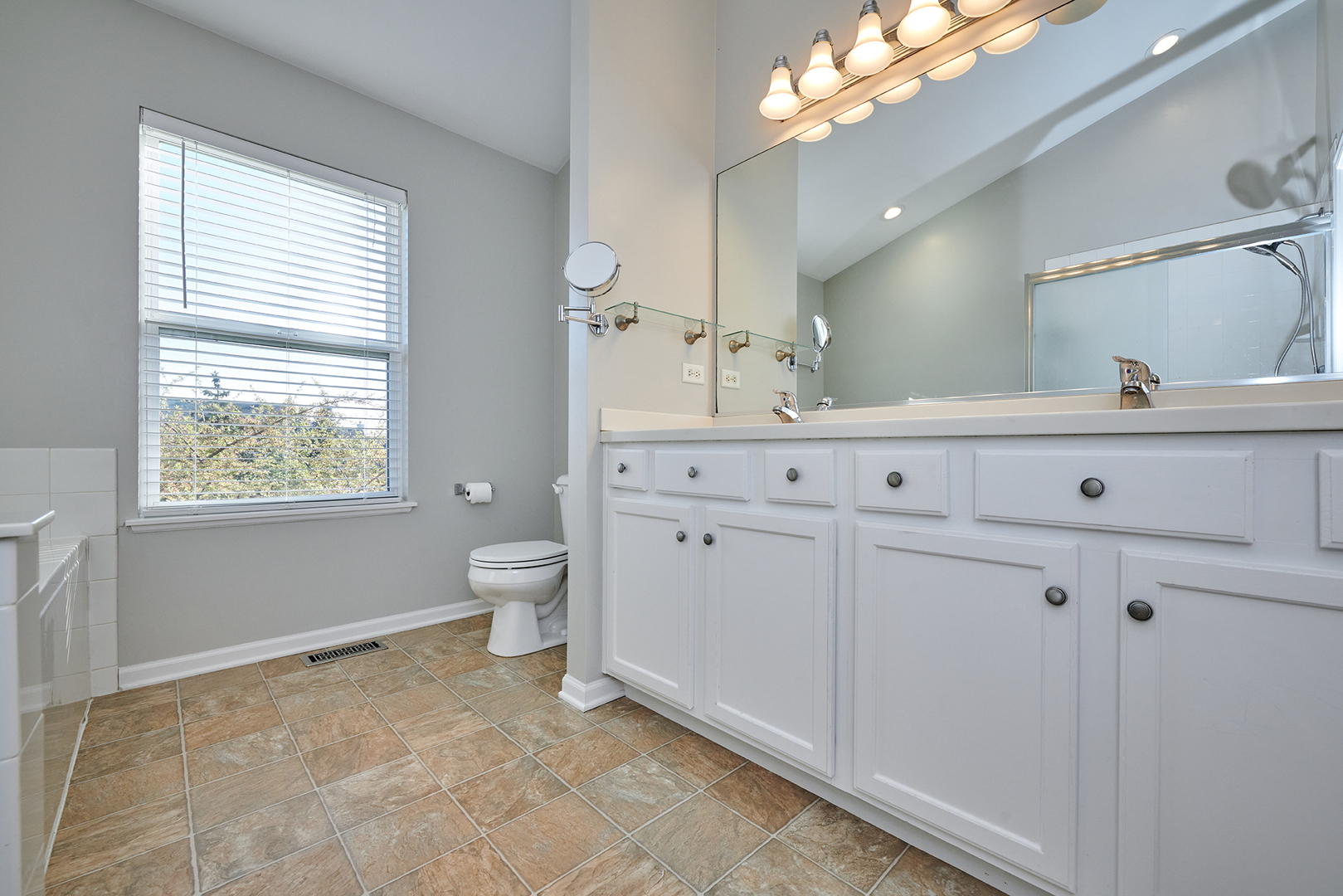 312 Shelbourne Road Volo, IL 60073 - Photo 23 of 54 a spacious bathroom with a toilet a sink and mirror