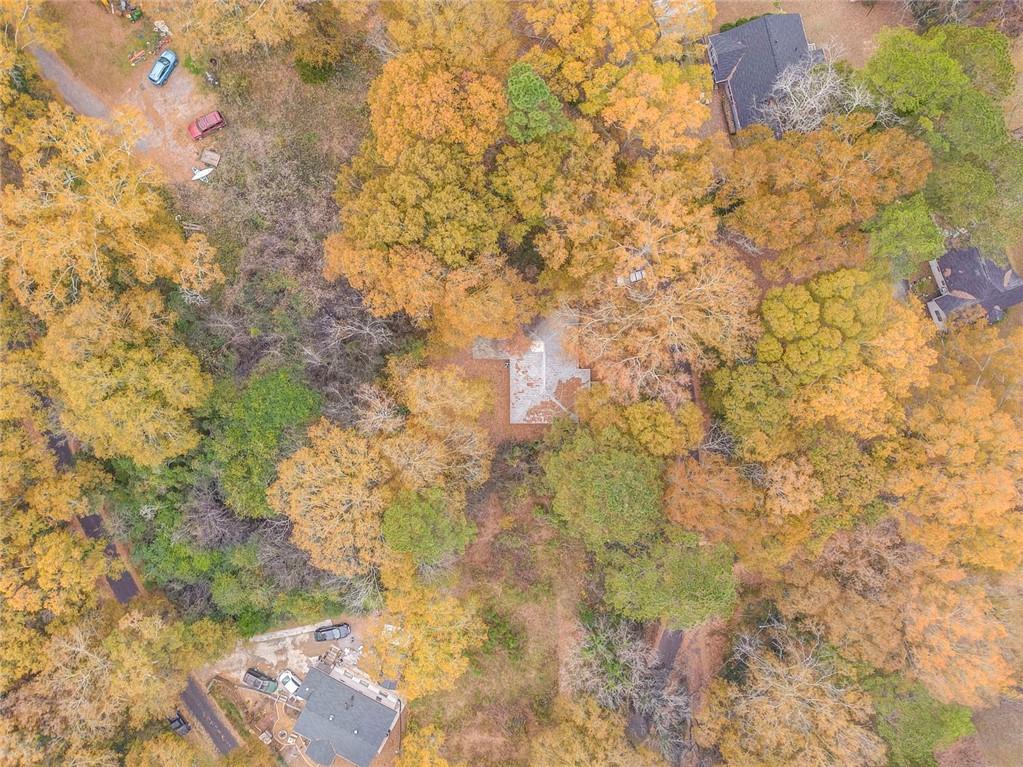 43 King Bee Circle Rome, GA 30161 - Photo 47 of 47 a close up of a tree