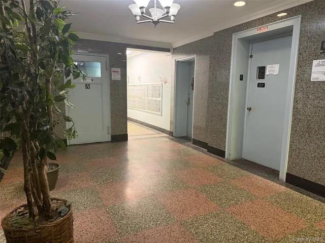 a view of a livingroom with a potted plant and empty room