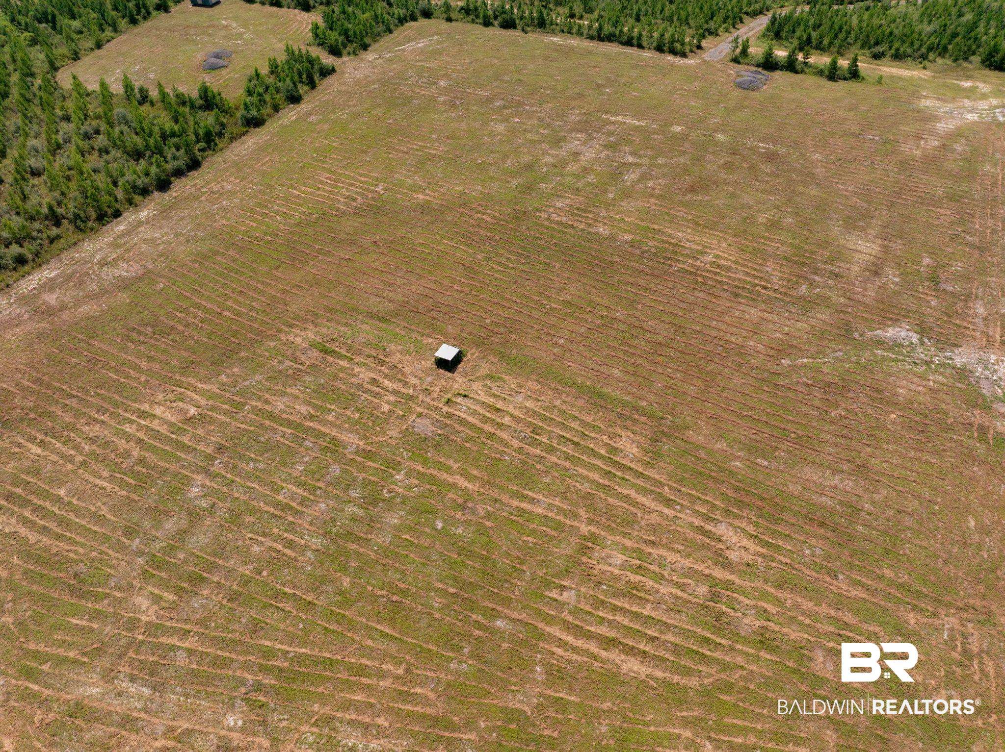 18813 Horseneck Road Bay Minette, AL 36507 - Photo 6 of 16 Drone / aerial view featuring a rural view