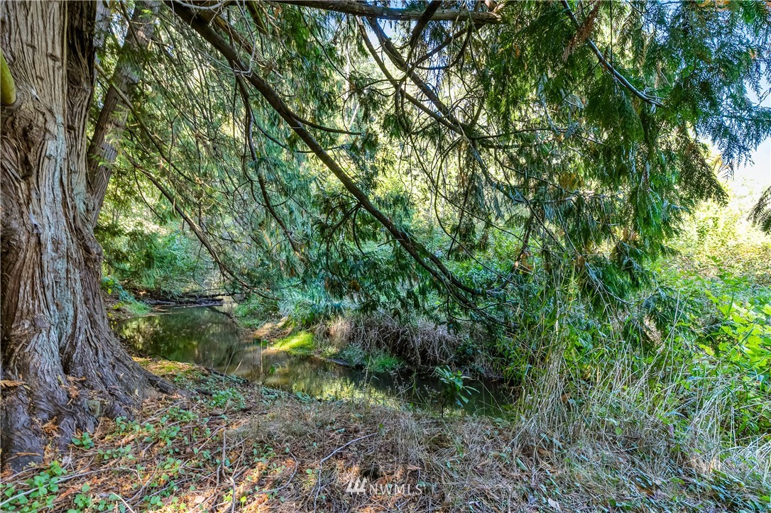 502 West Hemmi Road Bellingham, WA 98226 - Photo 22 of 24 a backyard of a house with lots of green space