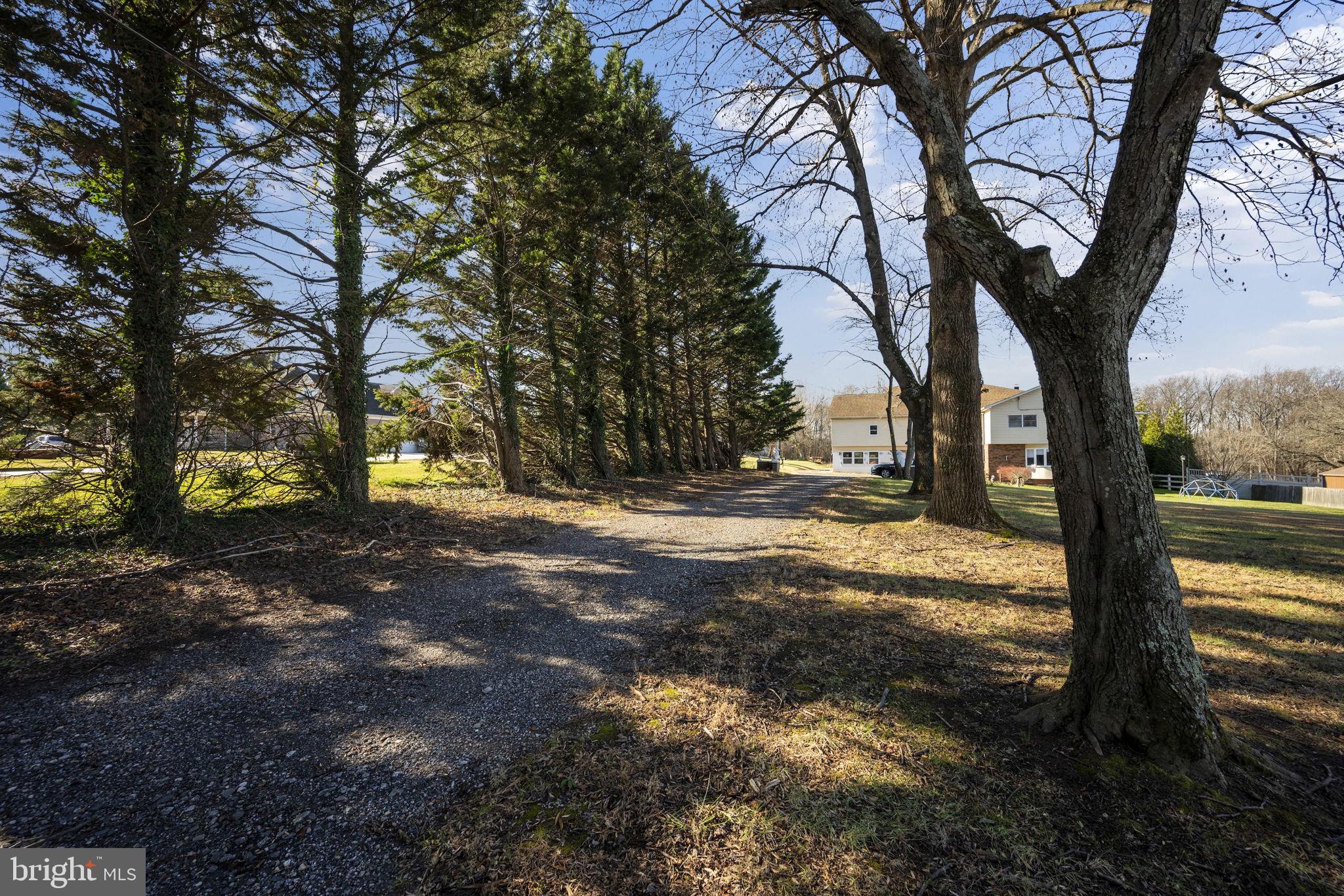 10412 Vincent Road White Marsh, MD 21162 - Photo 2 of 65 a view of yard with trees