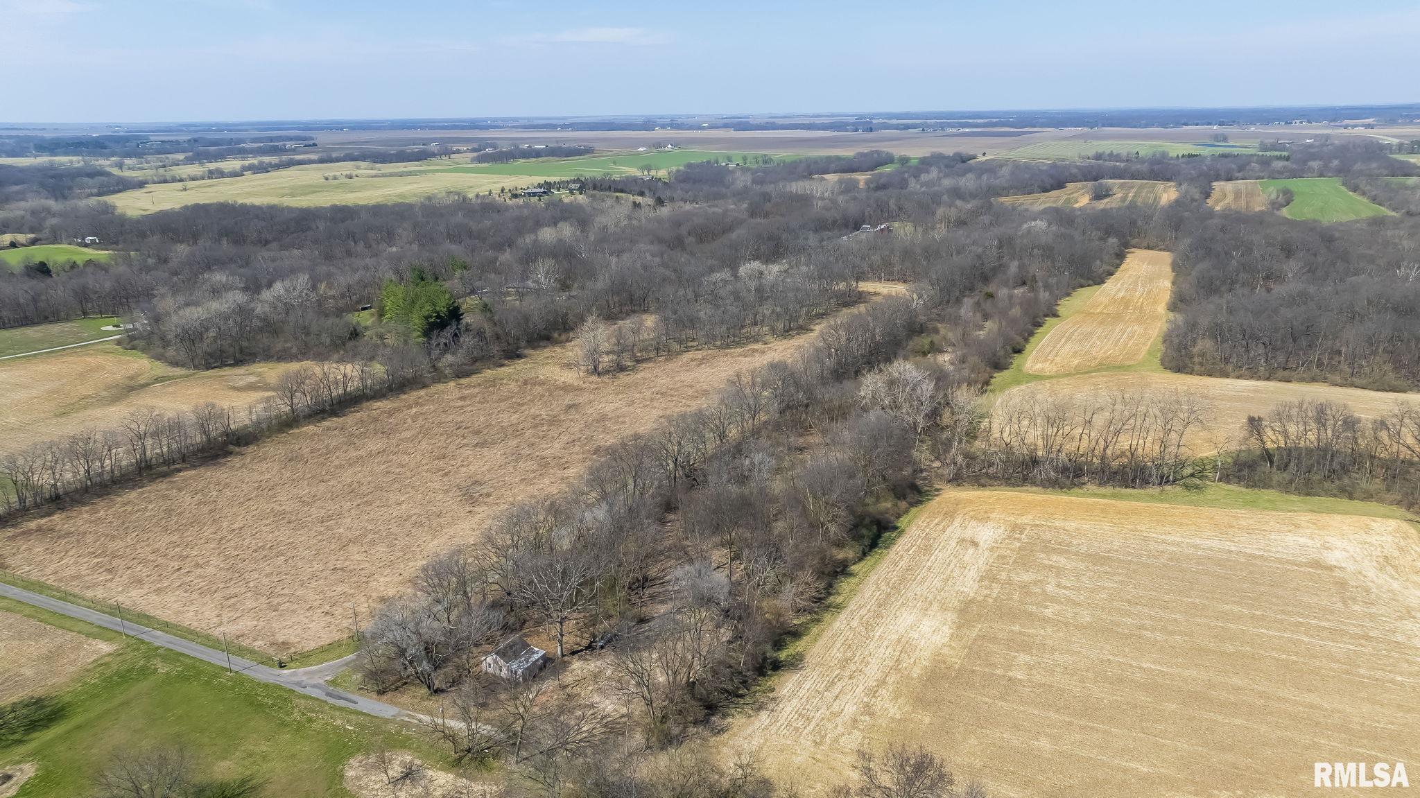 8543 Frey Road Pleasant Plains, IL 62677 - Photo 3 of 13