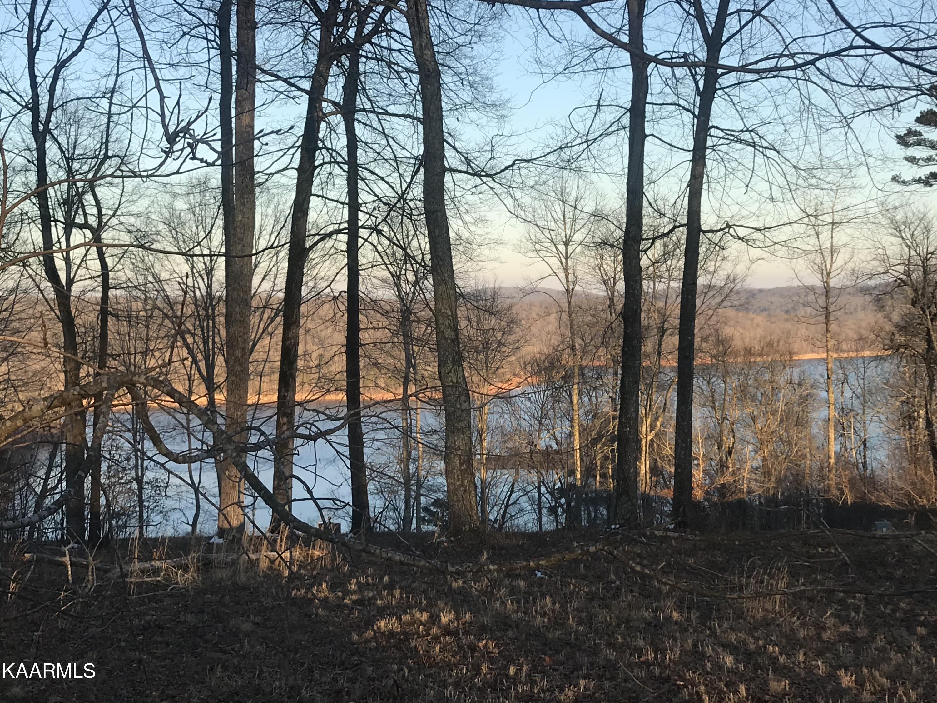 Lot 618 Prestige Ridge La Follette, TN 37766 - Photo 8 of 11 528C04B1-5233-42B9-B6CF-43087AFB637A