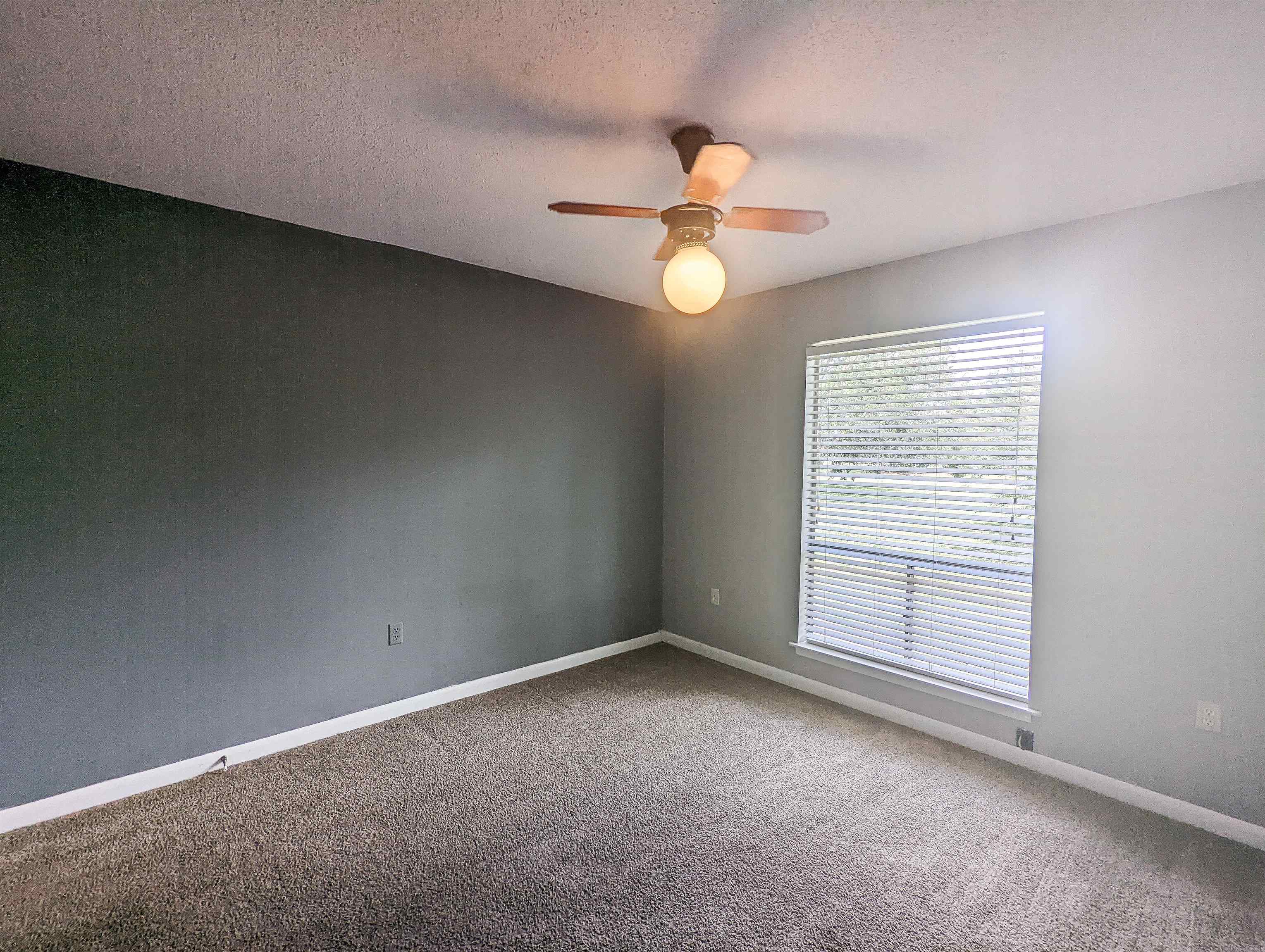 13278 County Road 55 Foley, AL 36535 - Photo 21 of 29