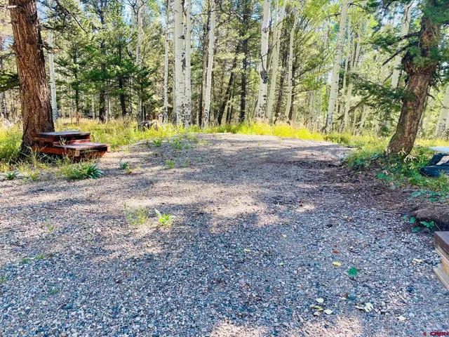 a view of yard with green space and trees