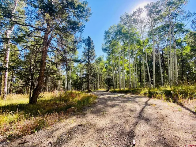 a view of outdoor space with trees