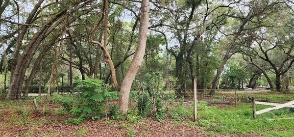 a view of backyard with green space