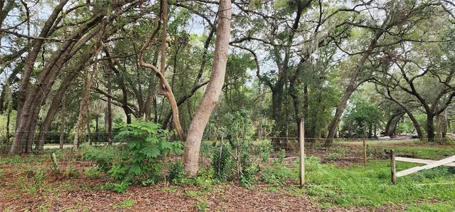 a view of backyard with green space