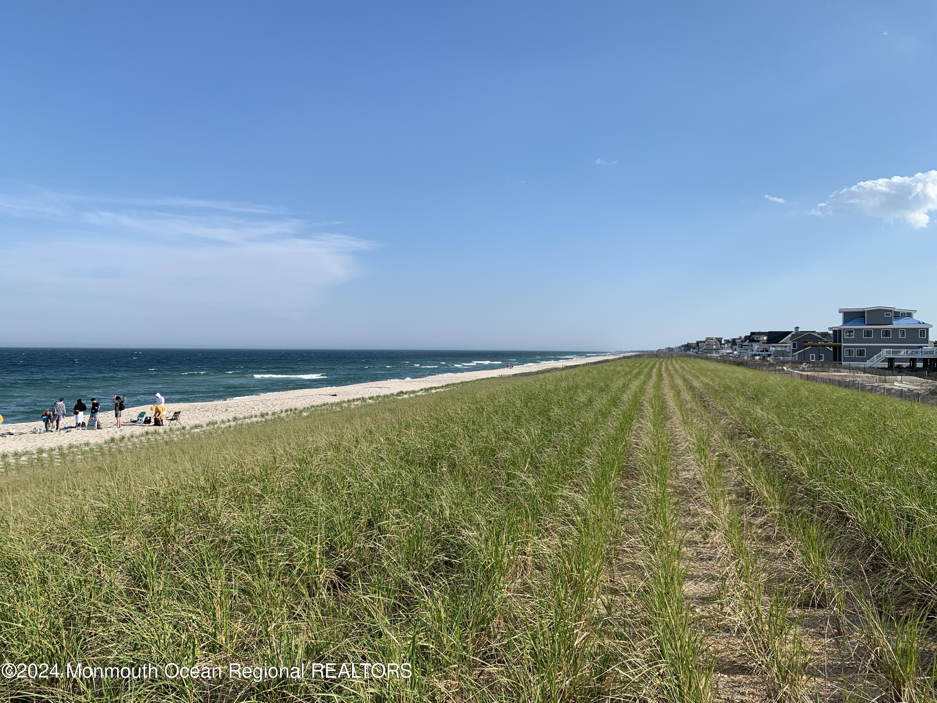 27 Shell Road Mantoloking, NJ 08738 - Photo 32 of 38 Dune Grass Photo