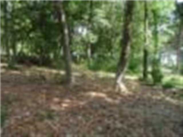 Lot 2 Wesley Road DeFuniak Springs, FL 32433 - Photo 4 of 5 a view of a yard