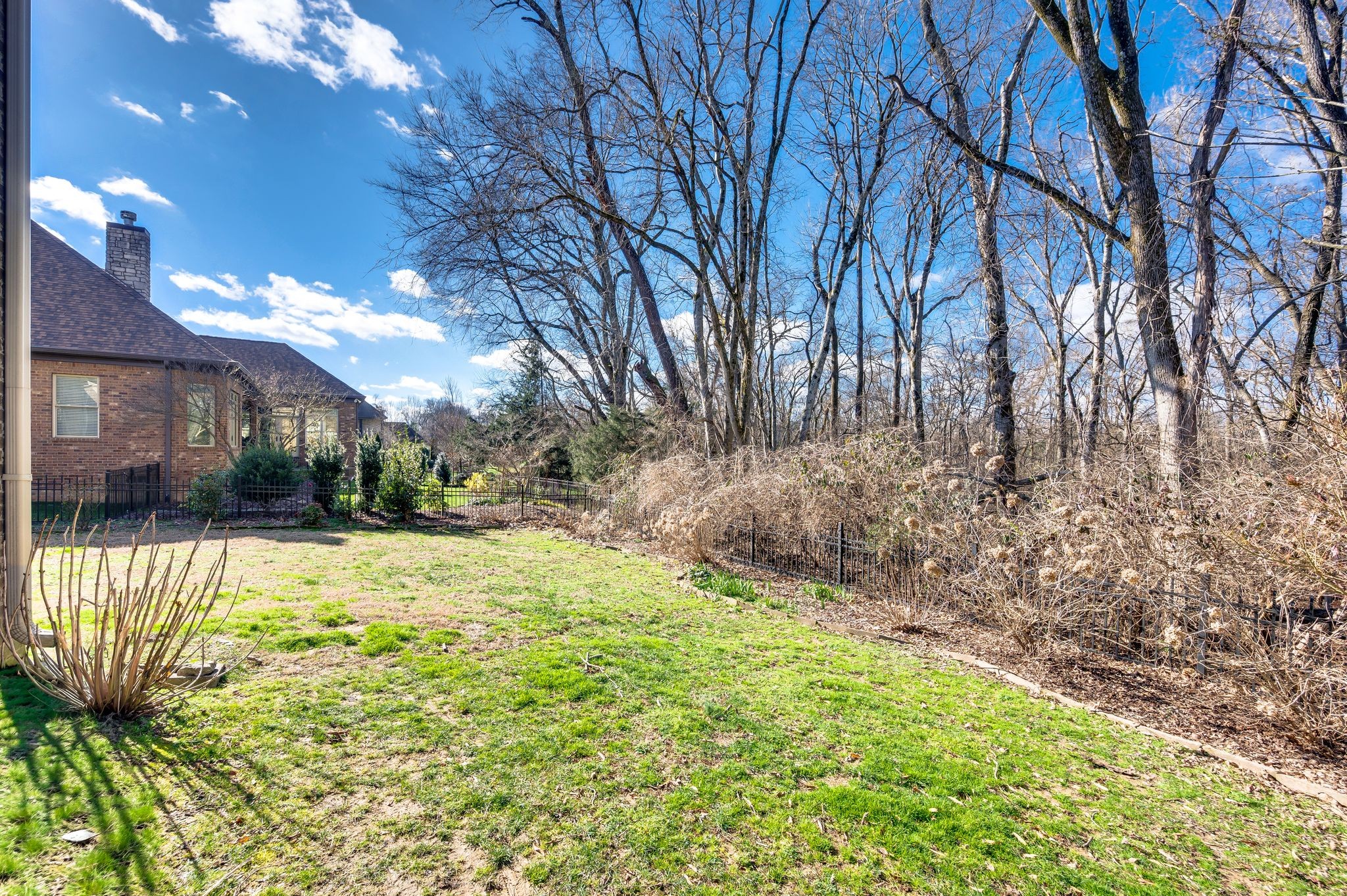 405 Luna Court Franklin, TN 37064 - Photo 54 of 57 a view of a yard with plants and large trees