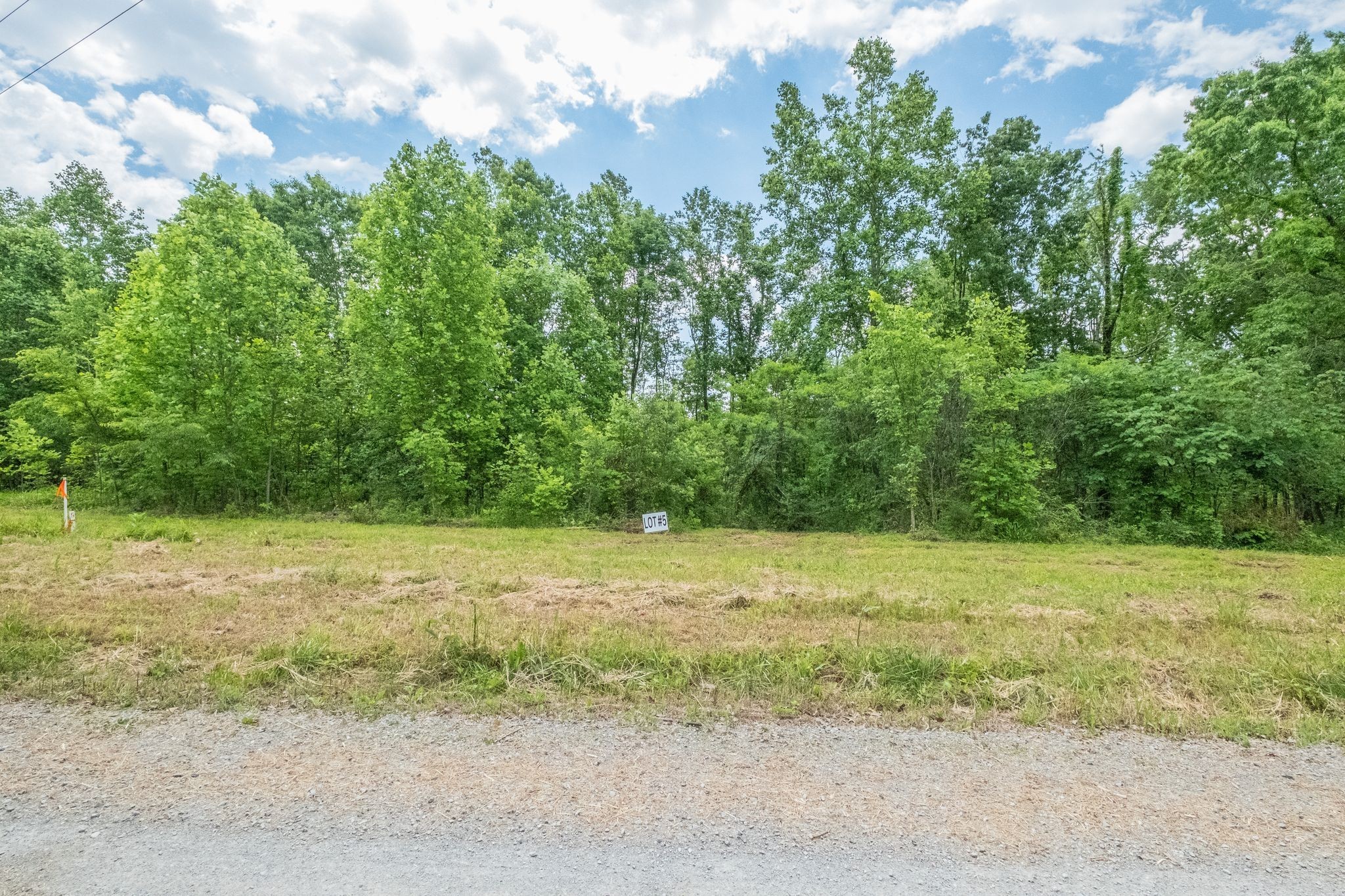 8489 Hoskins Hollow Road Westmoreland, TN 37186 - Photo 16 of 36