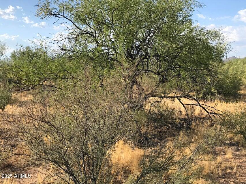 89 South Congress Az 85332 Congress, AZ 85332 - Photo 7 of 12