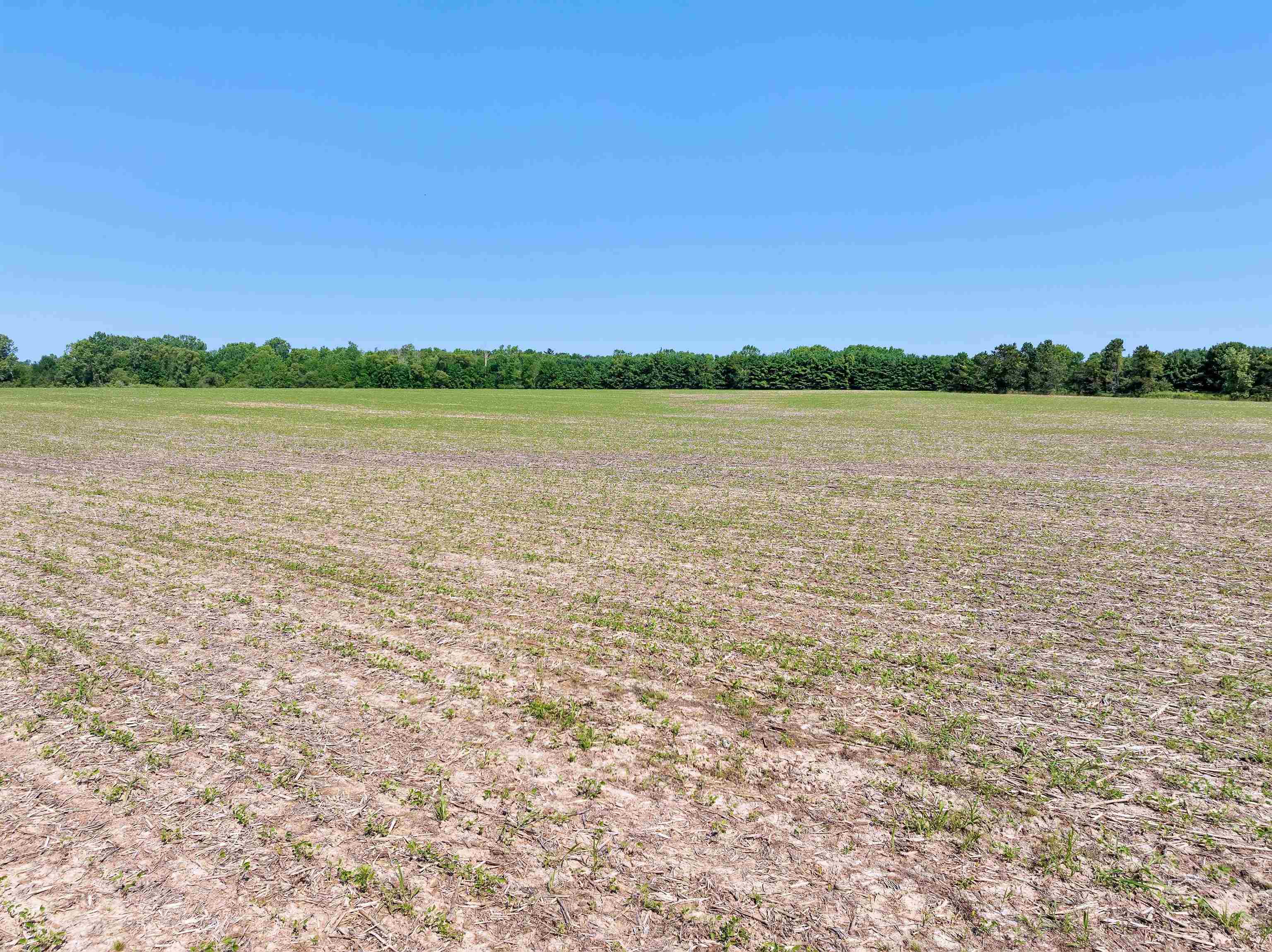 Geano Beach Road, Unit 1 Abrams, WI 54101 - Photo 1 of 1 Gallery Image 1