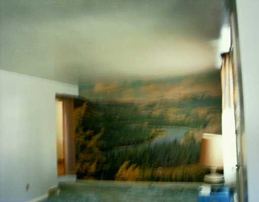 544 Agnew Road Baldwin, PA 15227 - Photo 2 of 7 Living Room.