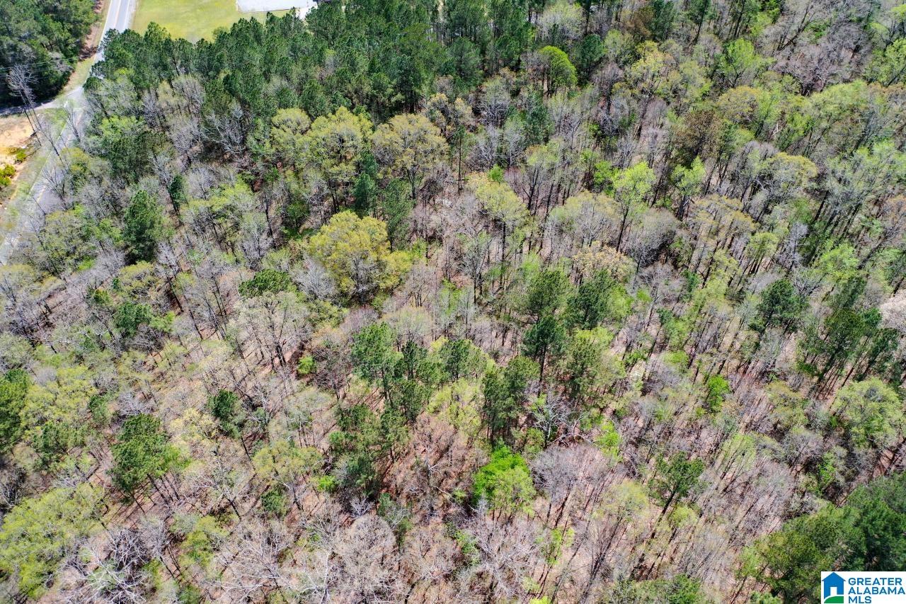 0 County Road 15 Locust Fork, AL 35097 - Photo 3 of 14