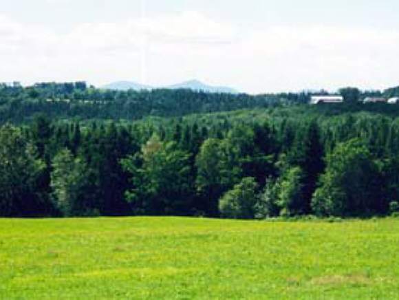 - Ticehurst Road Brownington, VT 05860 - Photo 1 of 1 Gallery Image 1