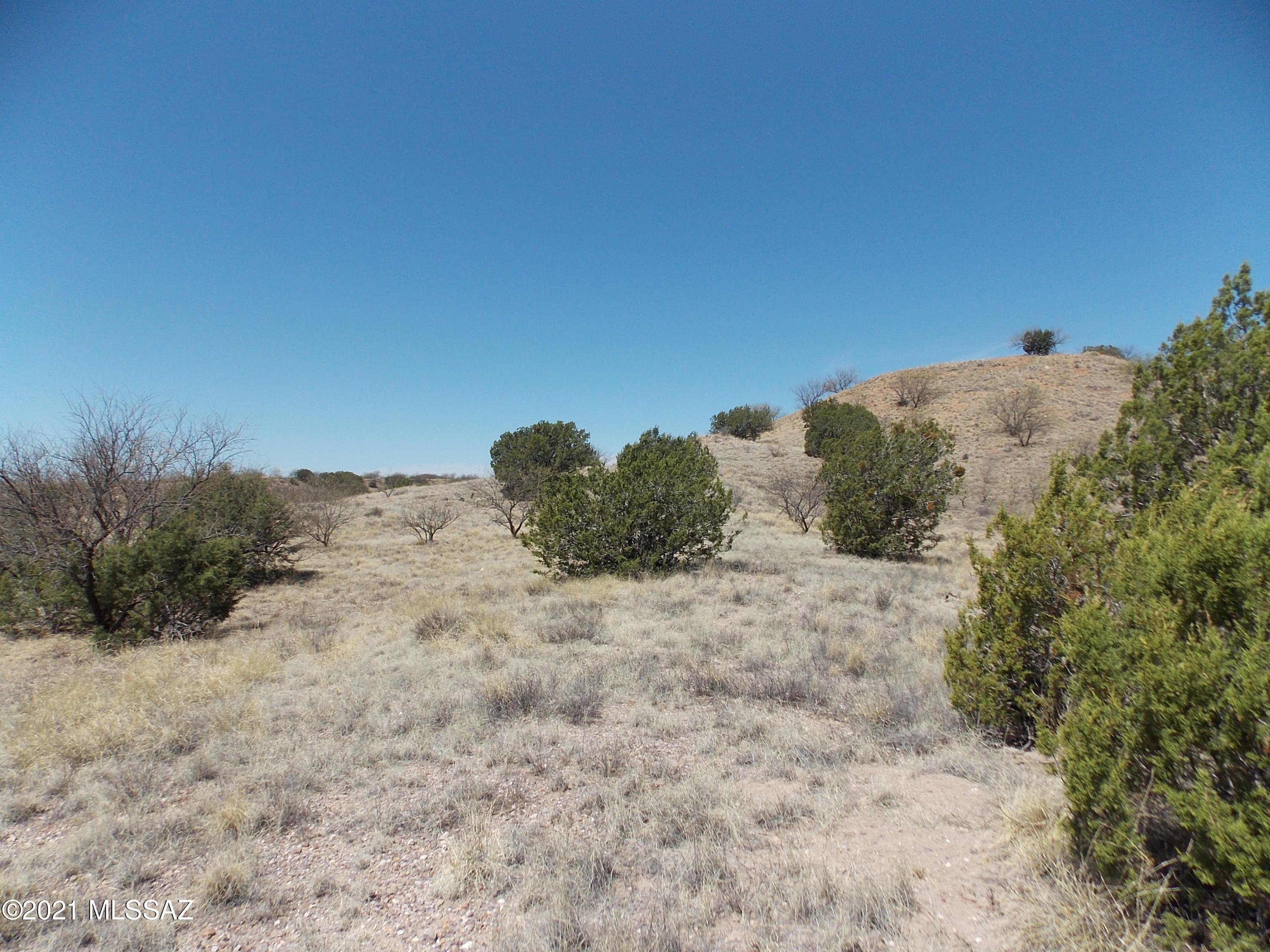 154 Tanglehead, Unit 44 Patagonia, AZ 85624 - Photo 10 of 15