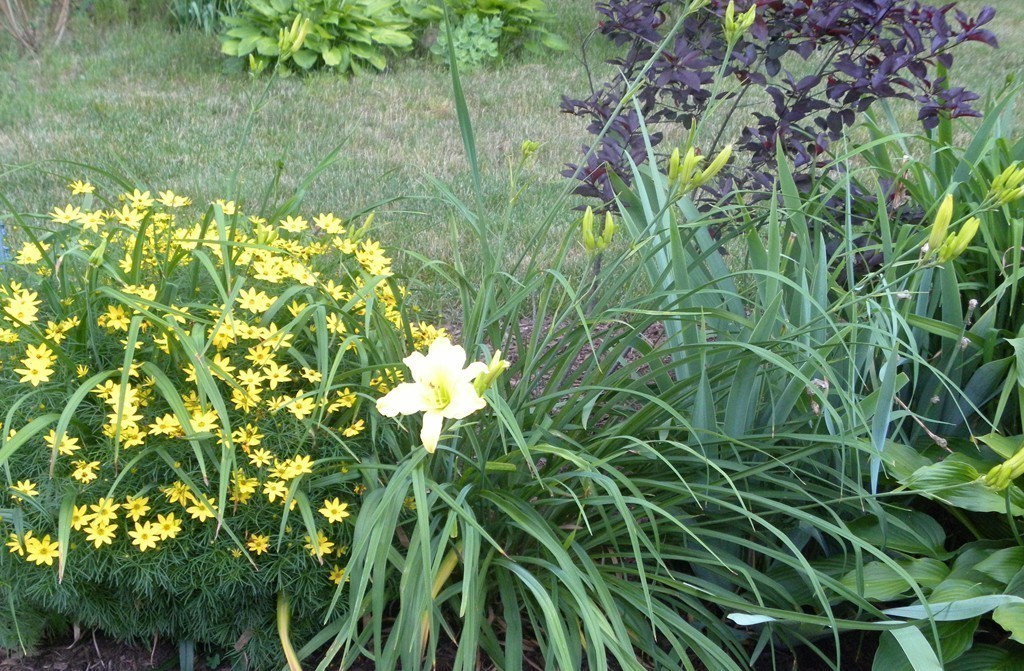 2 Visco Road Burlington, MA 01803 - Photo 28 of 30 Gallery Image 28