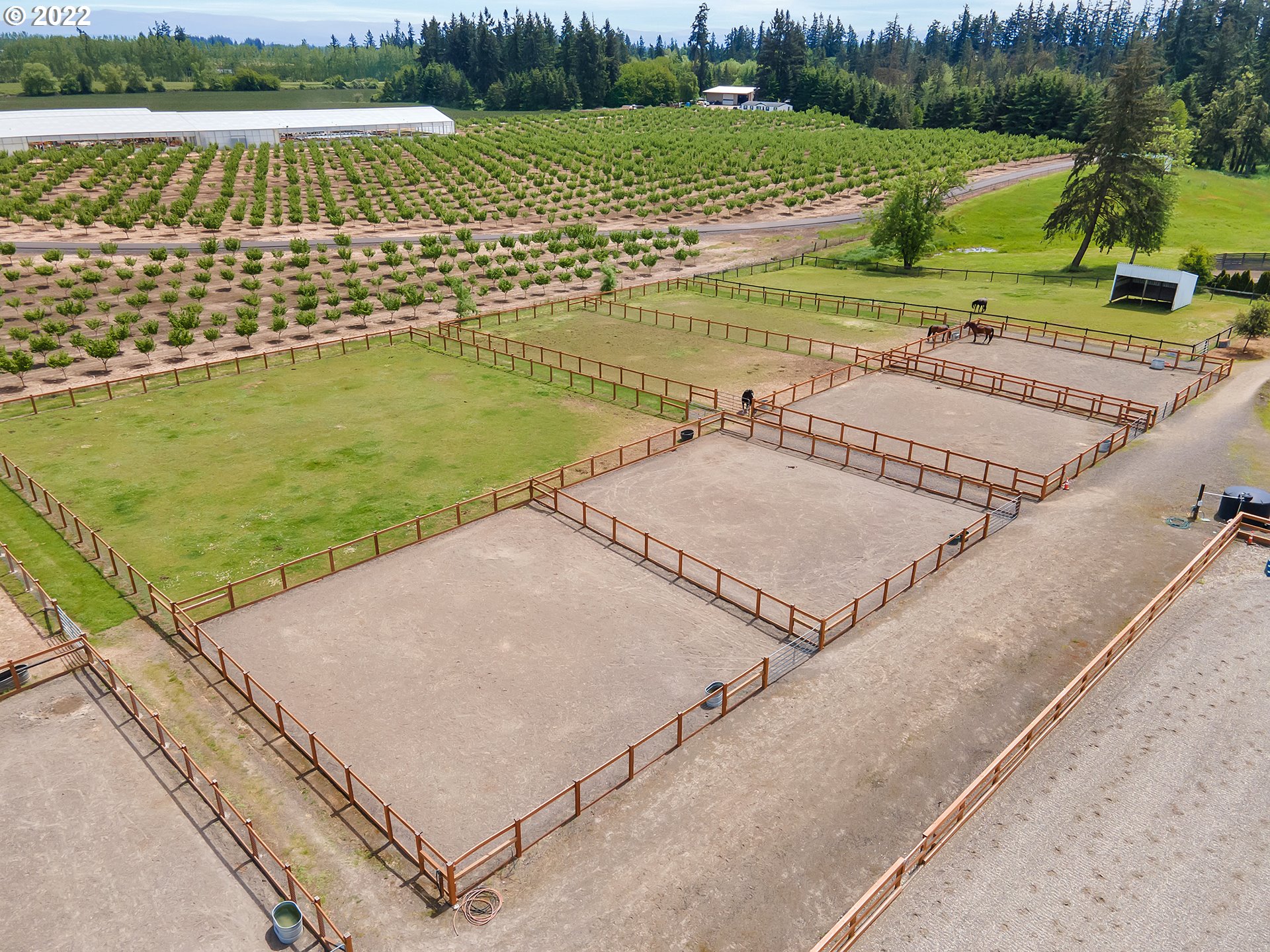 12712 Arndt Road Northeast Aurora, OR 97002 - Photo 25 of 32 Gallery Image 25