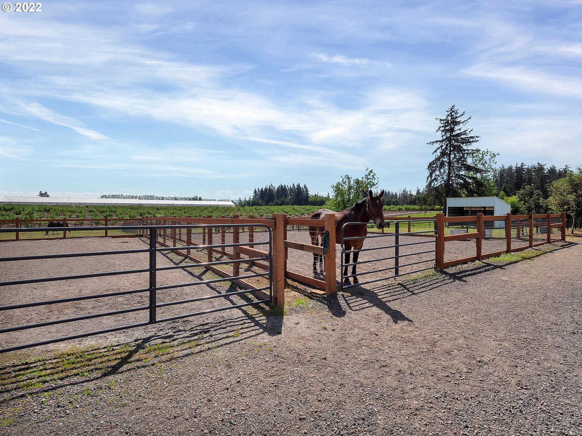 12712 Arndt Road Northeast Aurora, OR 97002 - Photo 26 of 32 Gallery Image 26