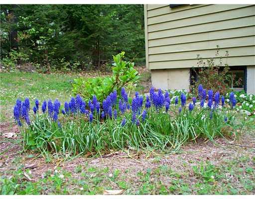 29 Hemlock Ridge Road Chelsea, ME 04330 - Photo 22 of 25 Yard/Garden.