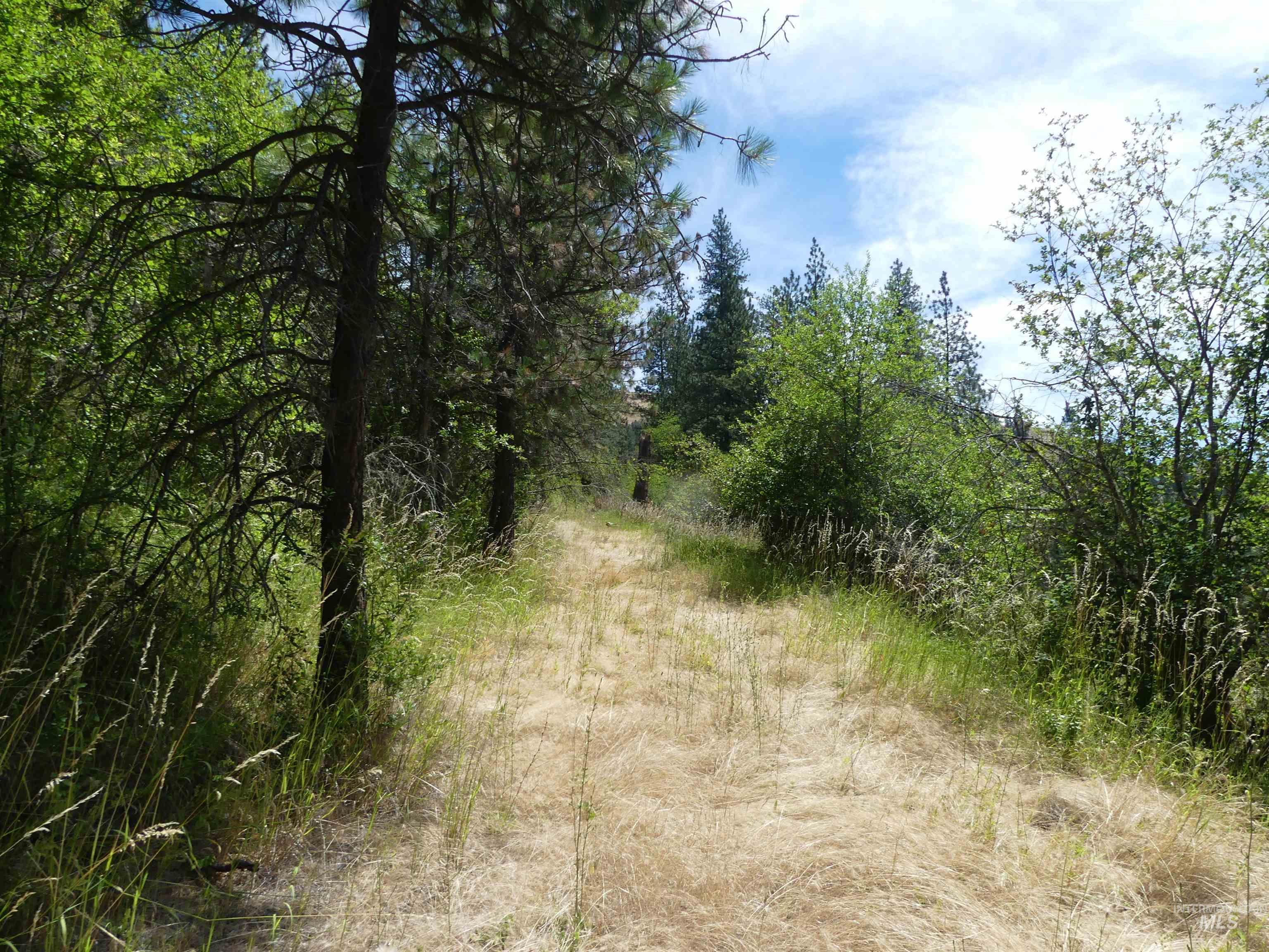 46601 Little Canyon Road Orofino, ID 83544 - Photo 40 of 46