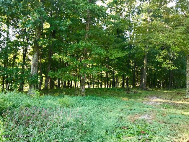 38 Landing Road Leitchfield, KY 42754 - Photo 10 of 11 IMG_3138
