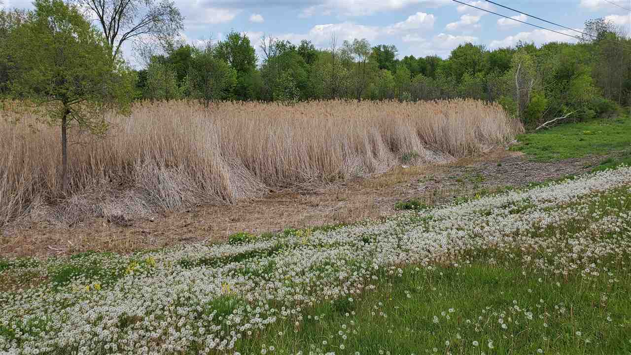 0 West Thompson Road Fenton, MI 48430 - Photo 5 of 6