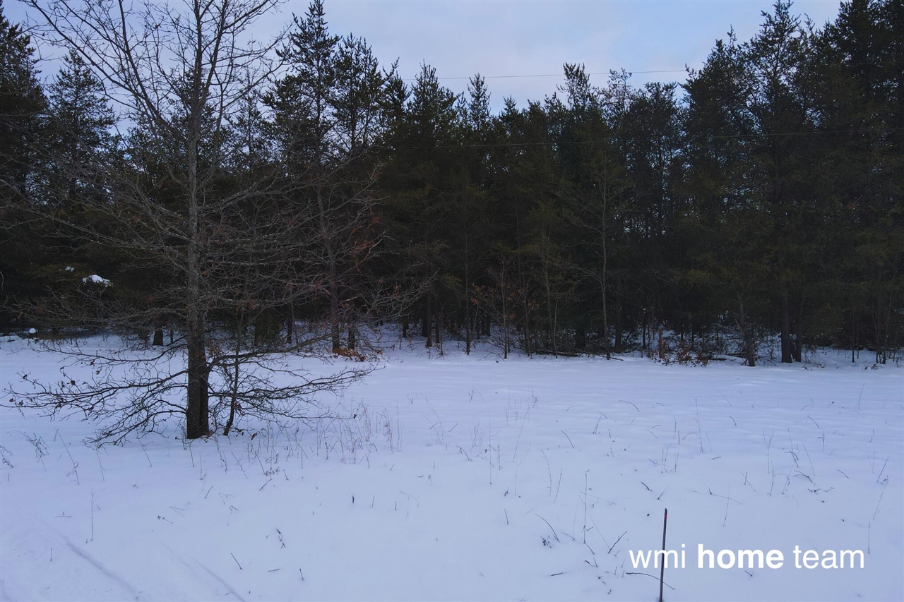 2 West County Line Road Sand Lake, MI 49343 - Photo 3 of 6