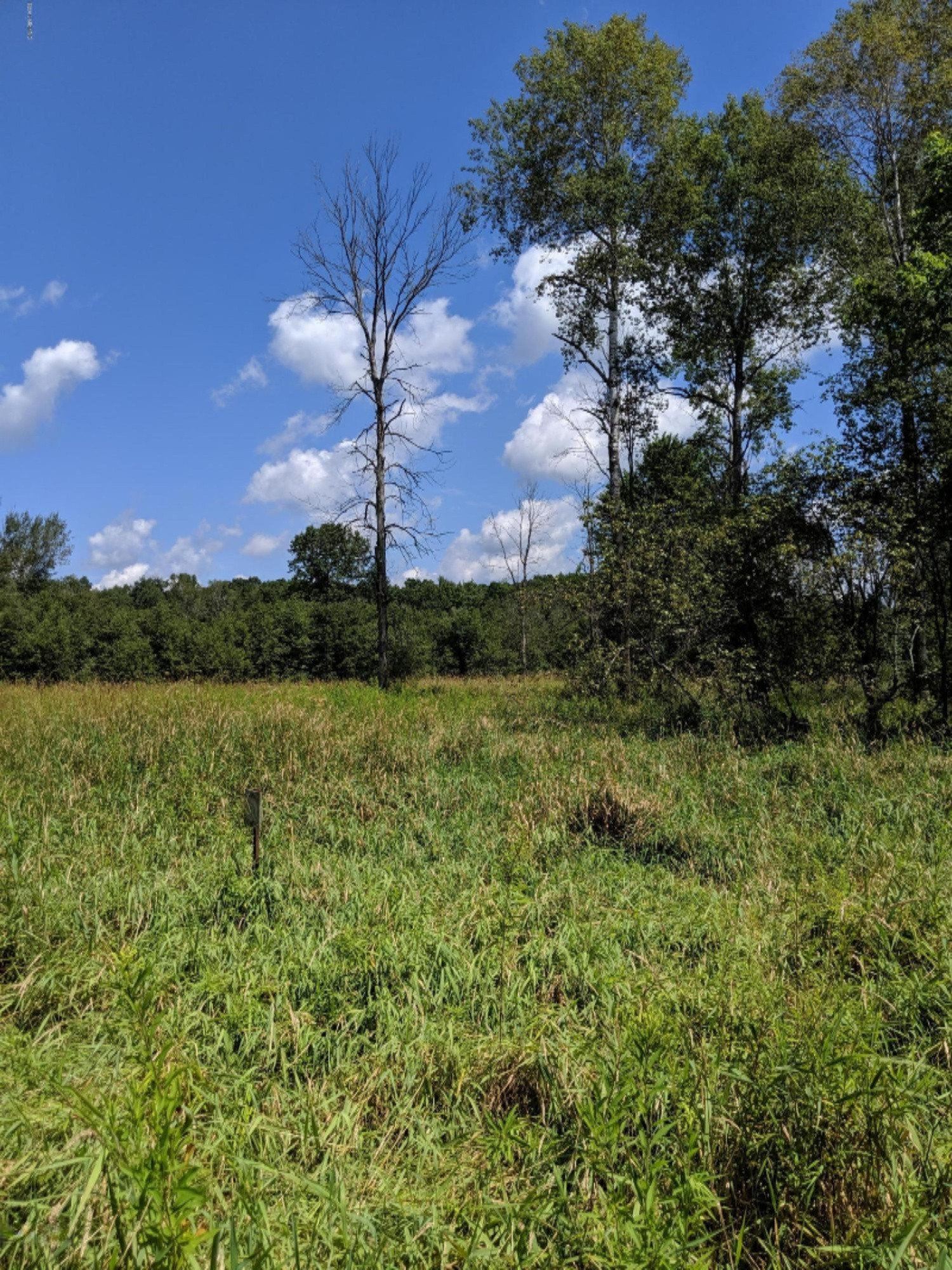 South Stephens Road Custer, MI 49405 - Photo 12 of 22 IMG_20190728_131522