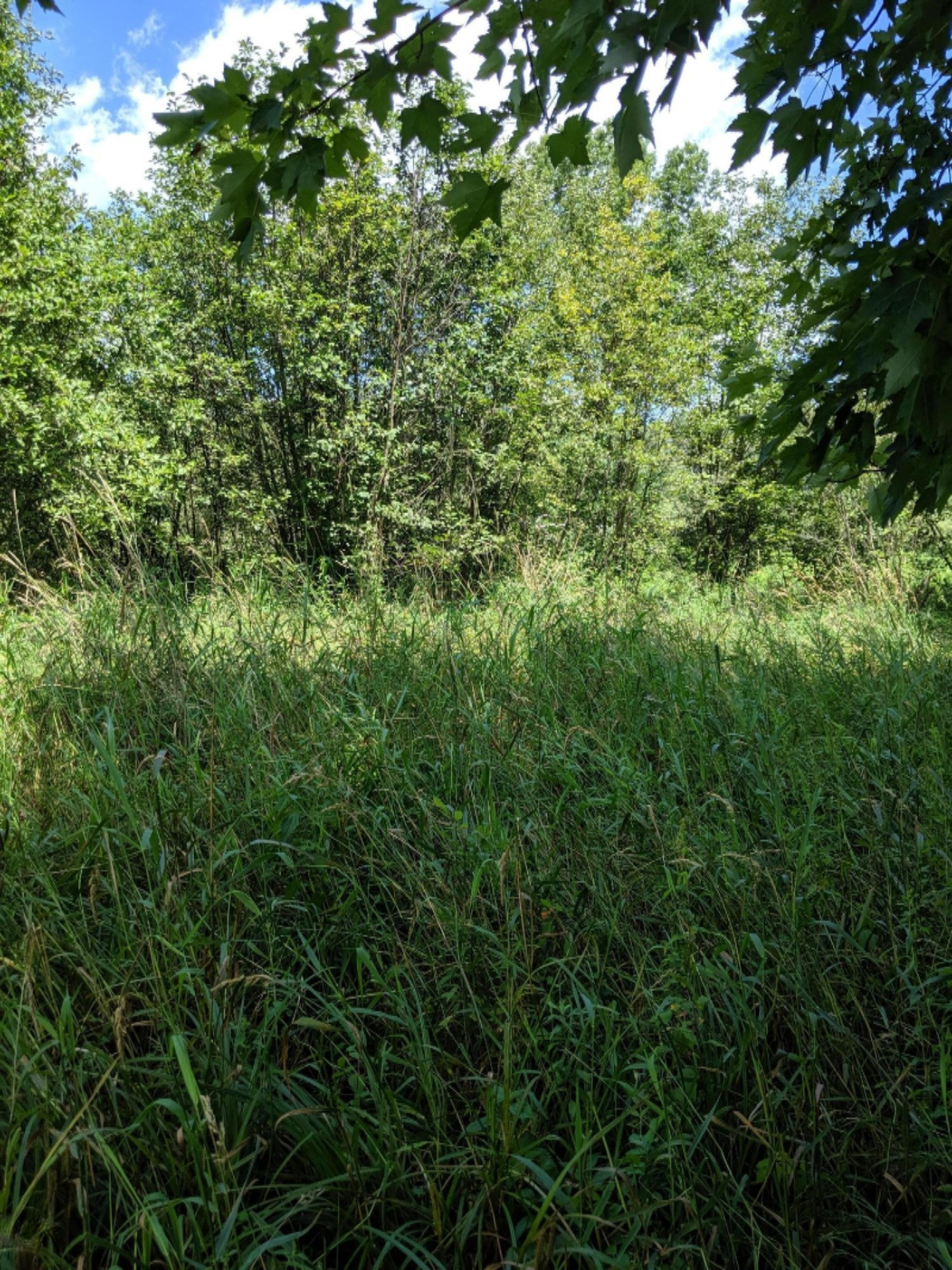 South Stephens Road Custer, MI 49405 - Photo 13 of 22 IMG_20190728_132052