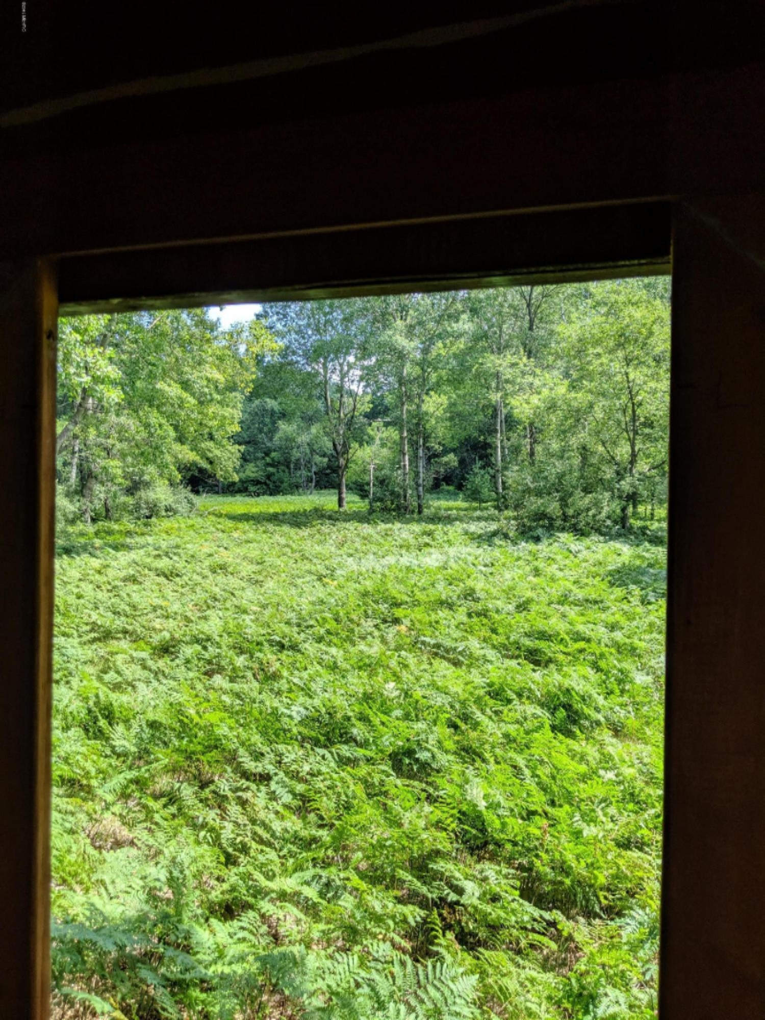 South Stephens Road Custer, MI 49405 - Photo 17 of 22 IMG_20190728_133114
