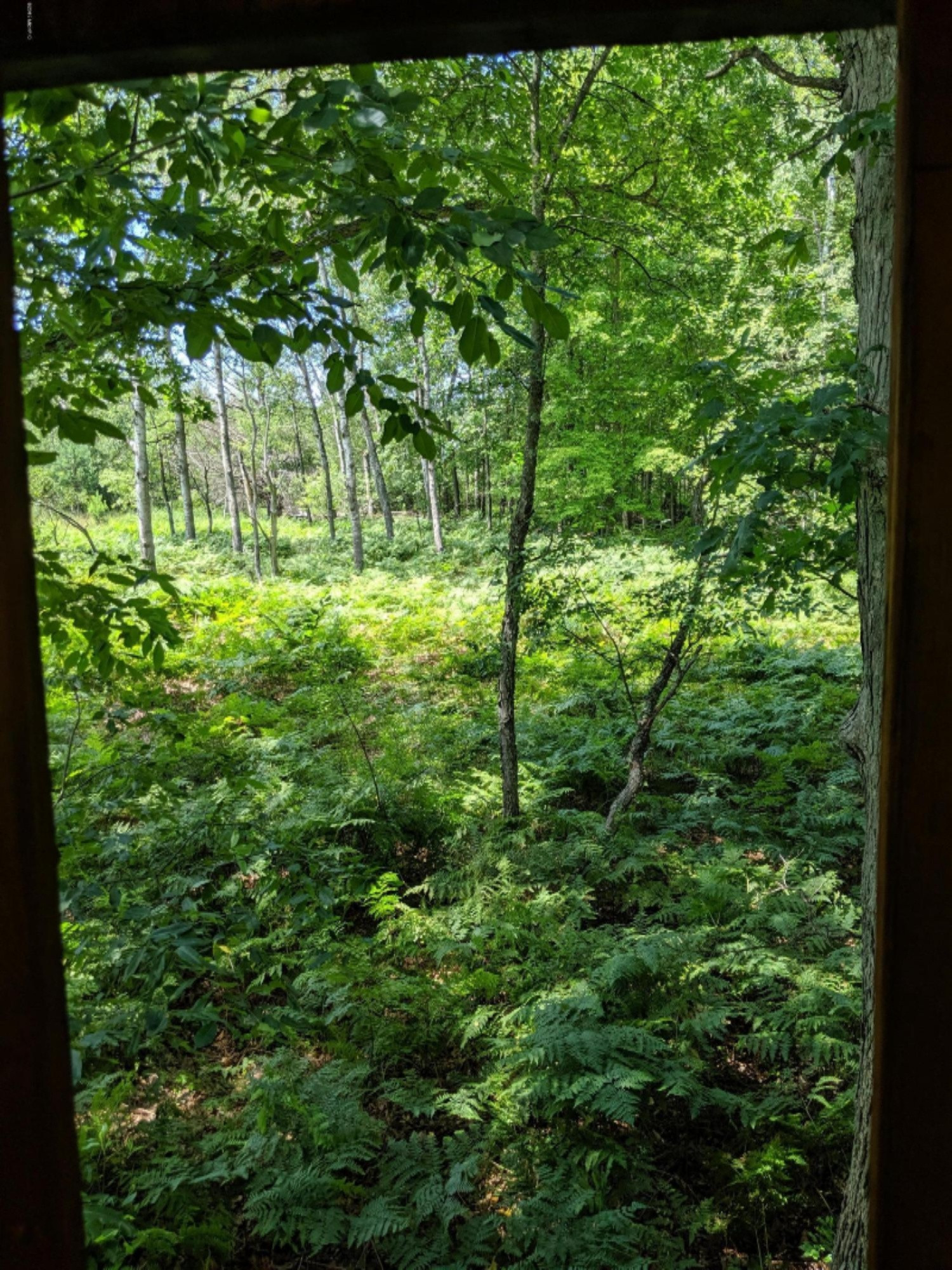 South Stephens Road Custer, MI 49405 - Photo 18 of 22 IMG_20190728_133128