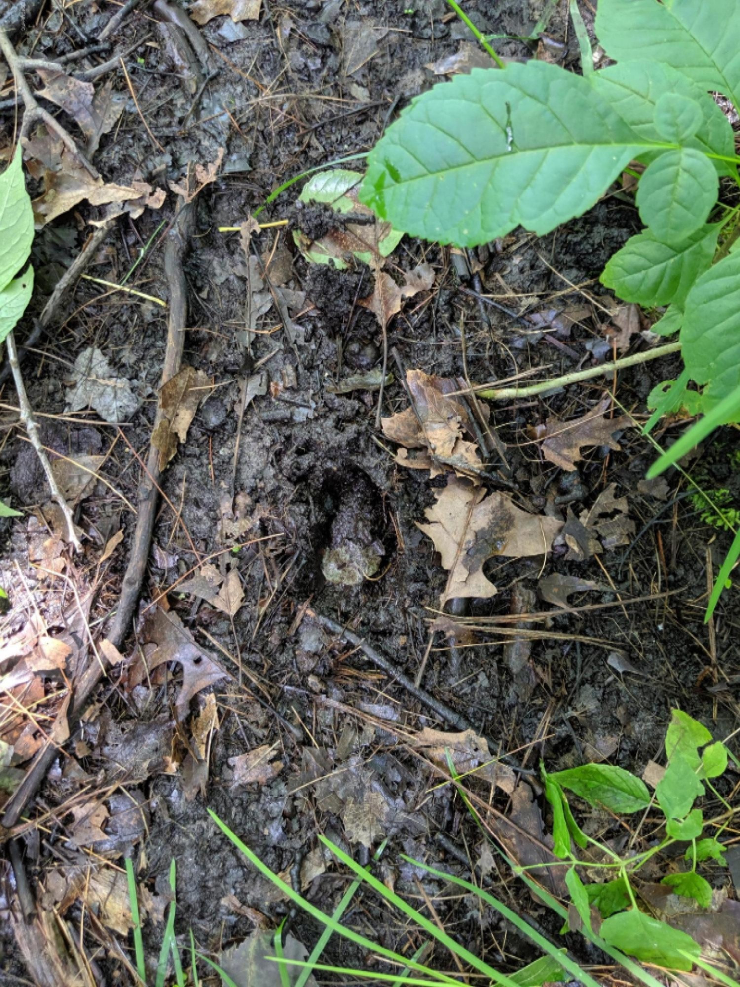 South Stephens Road Custer, MI 49405 - Photo 20 of 22 IMG_20190728_135551