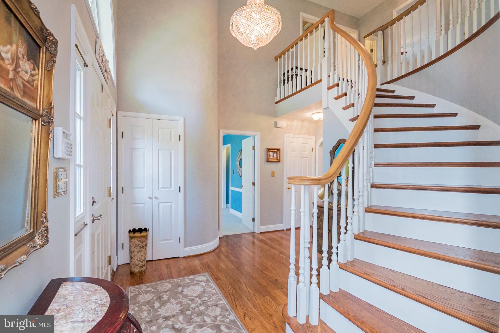 31 Forest Ridge Road Newark, DE 19711 - Photo 3 of 52 Stunning Curved Staircase!