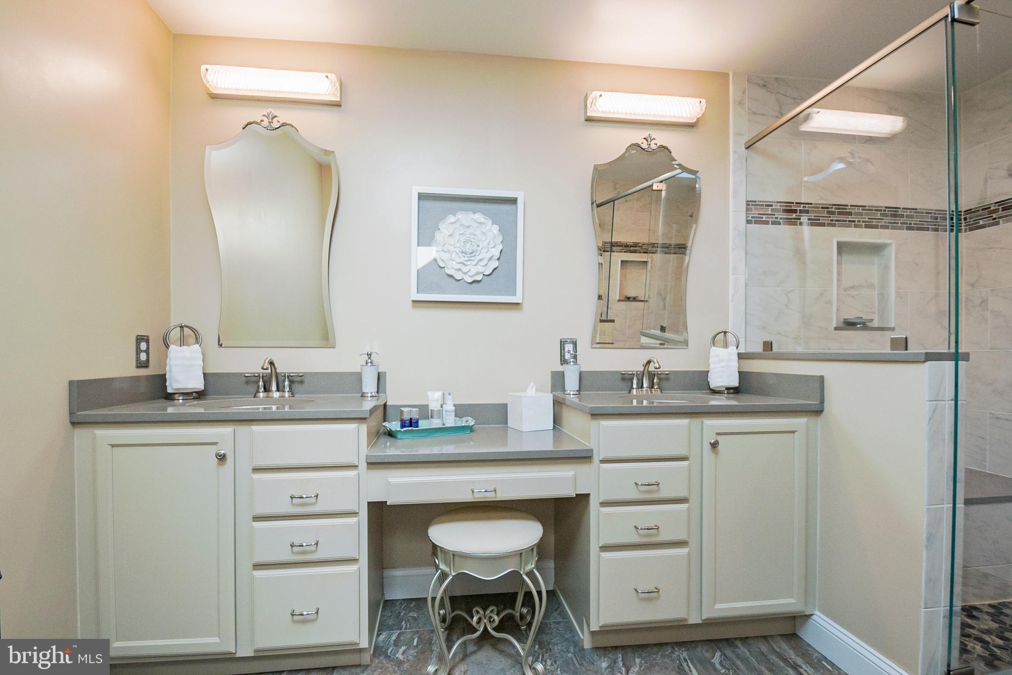 31 Forest Ridge Road Newark, DE 19711 - Photo 31 of 52 Beautiful Vanity with Custom Mirrors and Lighting