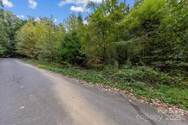 a view of a yard with a tree